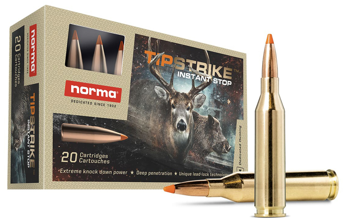 NORMA TIPSTRIKE 243WIN 76GR 20/10 - New at BHC